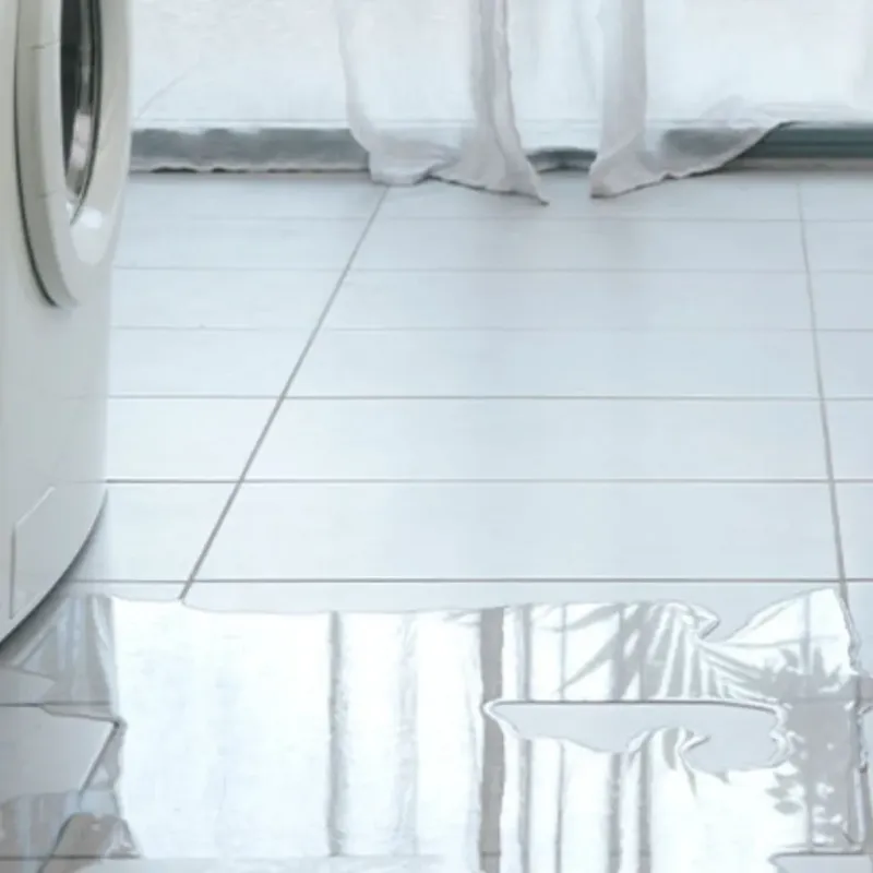 Appliance Leak Cleanup in Carroll County, TN