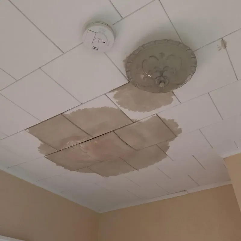 Ceiling Water Damage Repair in Carroll County, TN