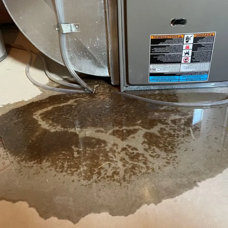 Pipe Burst and Leak Restoration in Carroll County, TN