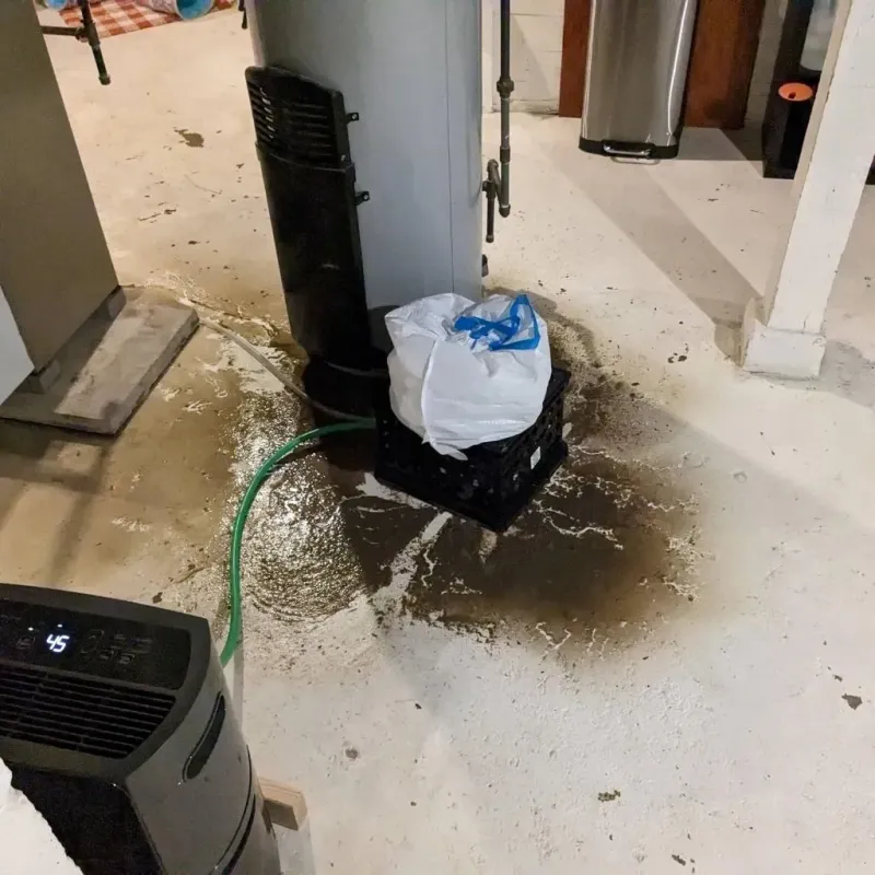 Sewage Backup Cleanup Service in Carroll County, TN